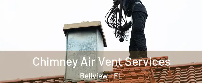 Chimney Air Vent Services Bellview - FL