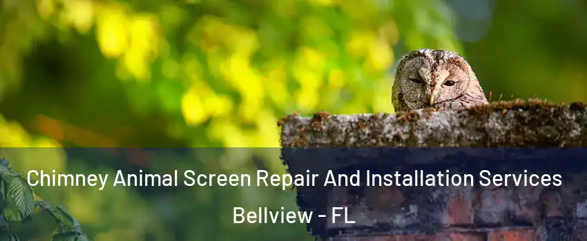  Chimney Animal Screen Repair And Installation Services Bellview - FL