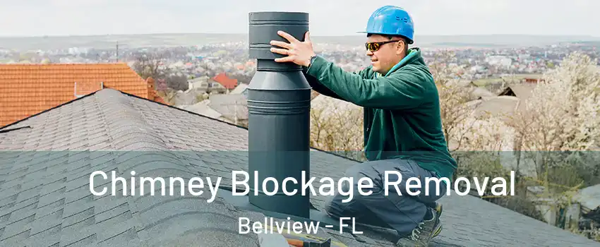  Chimney Blockage Removal Bellview - FL