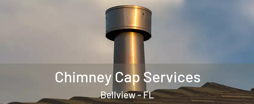 Chimney Cap Services Bellview - FL