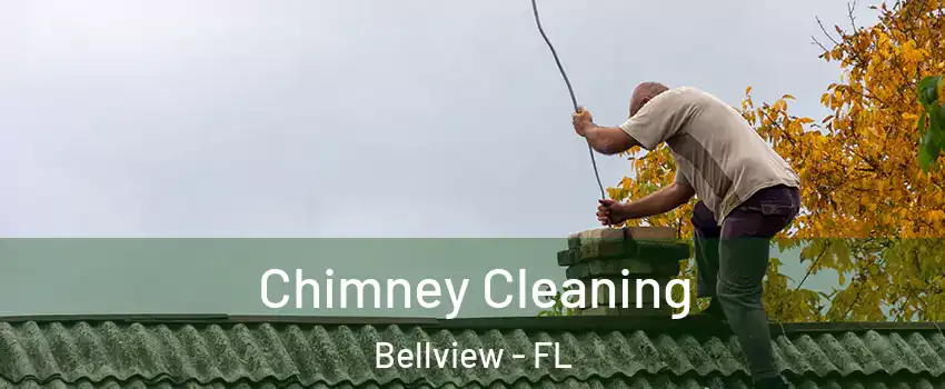  Chimney Cleaning Bellview - FL