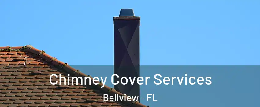  Chimney Cover Services Bellview - FL