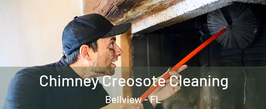  Chimney Creosote Cleaning Bellview - FL