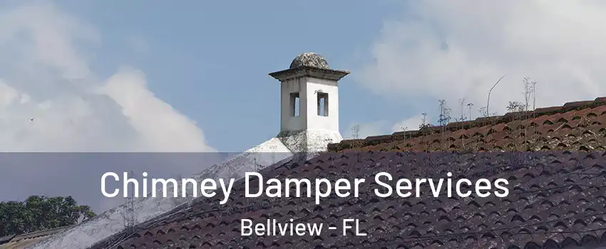  Chimney Damper Services Bellview - FL