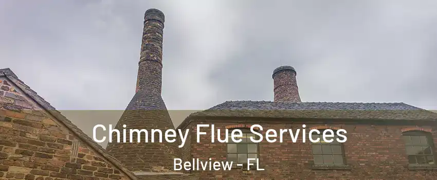  Chimney Flue Services Bellview - FL