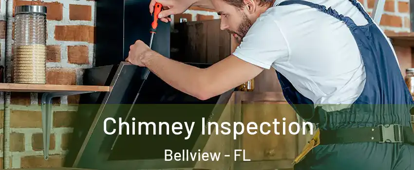  Chimney Inspection Bellview - FL