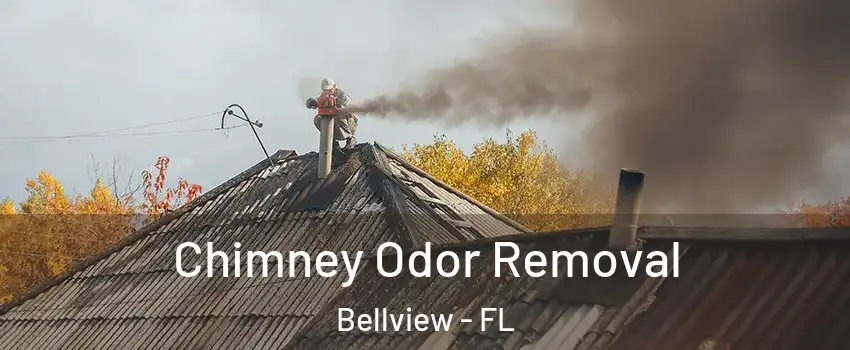  Chimney Odor Removal Bellview - FL