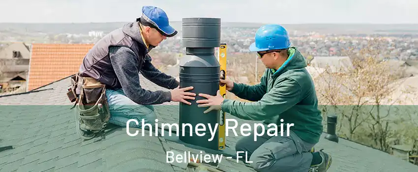  Chimney Repair Bellview - FL