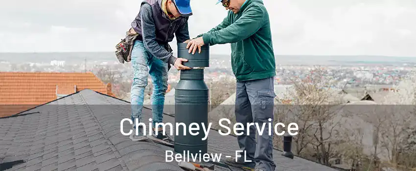  Chimney Service Bellview - FL