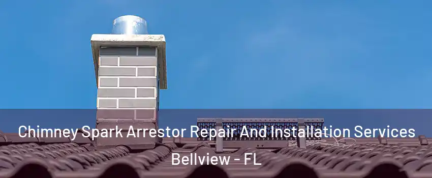  Chimney Spark Arrestor Repair And Installation Services Bellview - FL