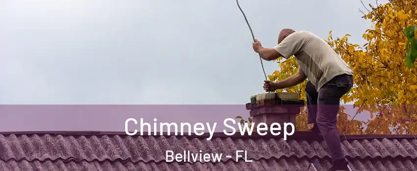  Chimney Sweep Bellview - FL