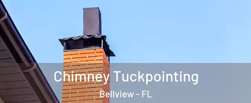  Chimney Tuckpointing Bellview - FL