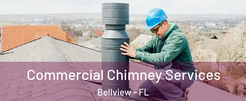  Commercial Chimney Services Bellview - FL