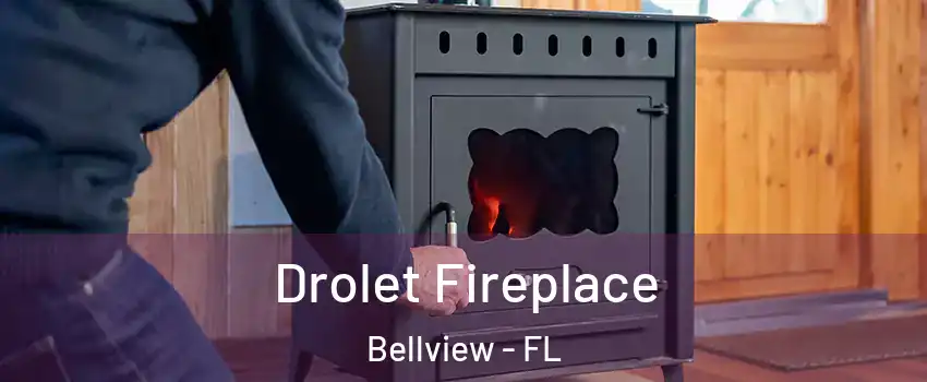  Drolet Fireplace Bellview - FL