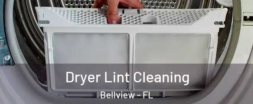  Dryer Lint Cleaning Bellview - FL