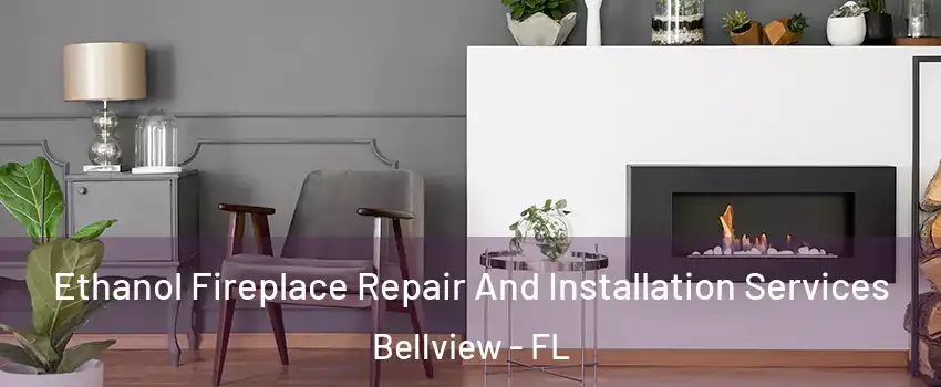  Ethanol Fireplace Repair And Installation Services Bellview - FL