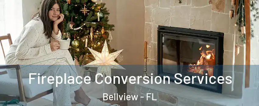  Fireplace Conversion Services Bellview - FL