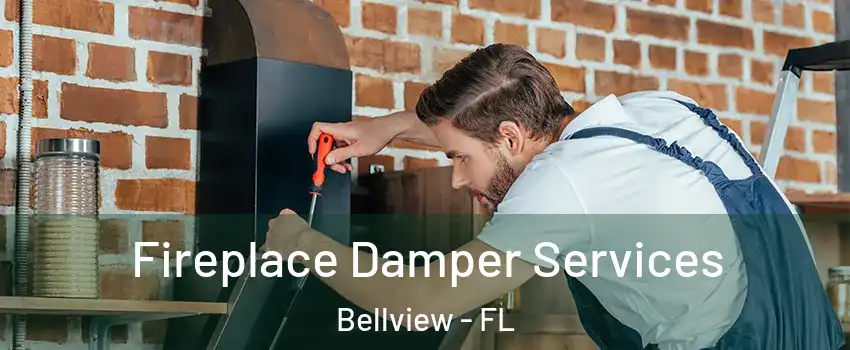  Fireplace Damper Services Bellview - FL
