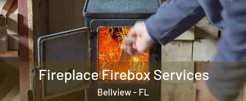  Fireplace Firebox Services Bellview - FL