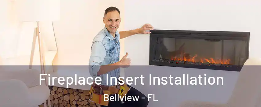 Fireplace Insert Installation Bellview - FL