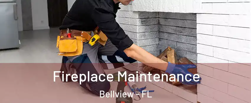 Fireplace Maintenance Bellview - FL