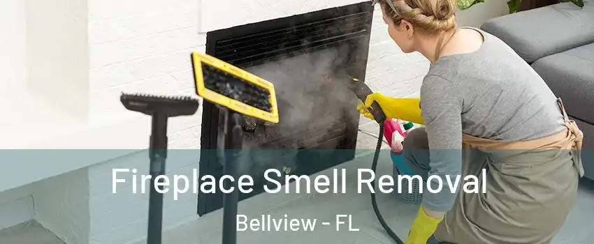  Fireplace Smell Removal Bellview - FL