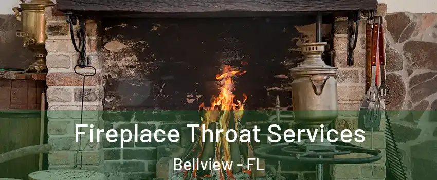  Fireplace Throat Services Bellview - FL