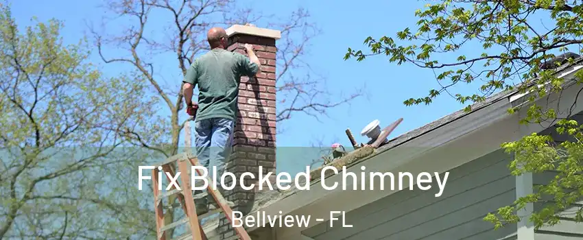  Fix Blocked Chimney Bellview - FL