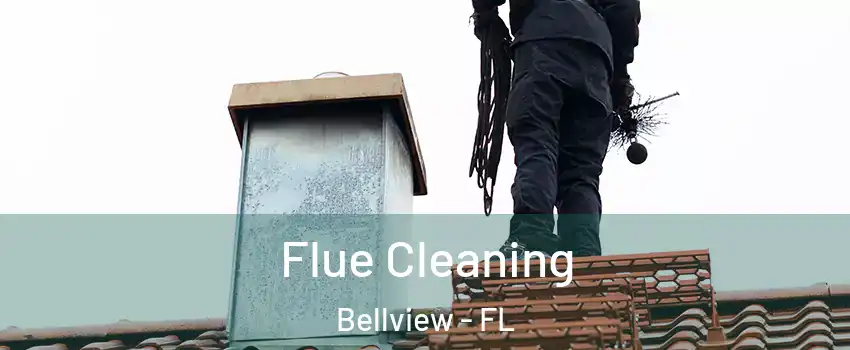  Flue Cleaning Bellview - FL