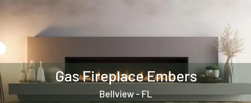  Gas Fireplace Embers Bellview - FL