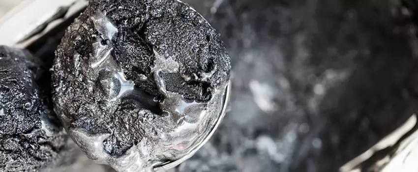 Clogged Dryer Vent Lint Cleaning in Bellview, Florida