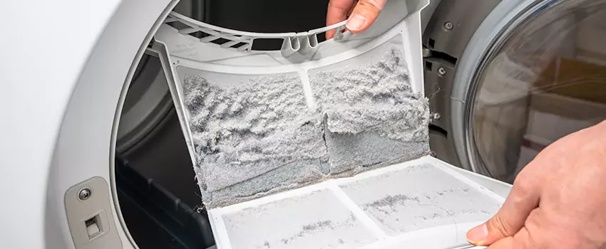 Best Dryer Lint Removal Company in Bellview, Florida