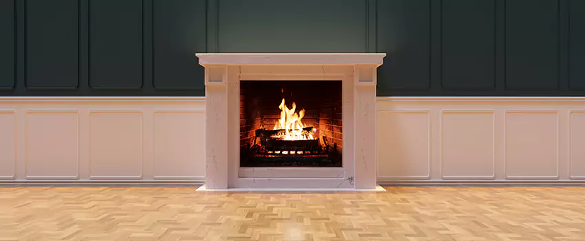 Napoleon Electric Fireplaces Inspection Service in Bellview, Florida