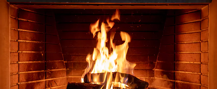Soot Cleanup Services in Bellview, FL