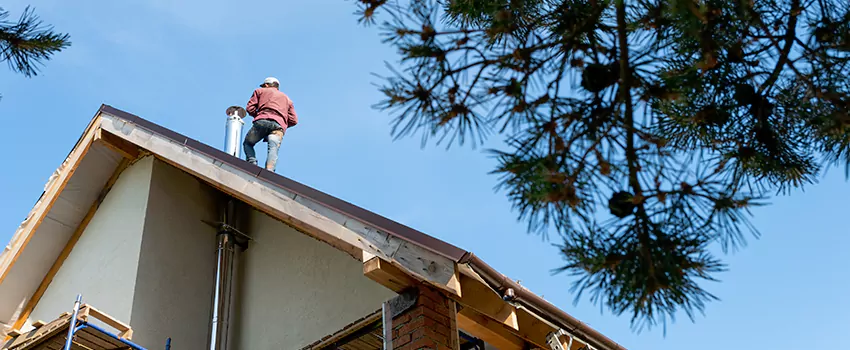 Birds Removal Contractors from Chimney in Bellview, FL