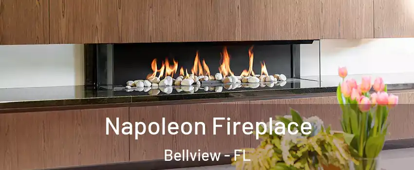  Napoleon Fireplace Bellview - FL