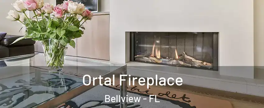  Ortal Fireplace Bellview - FL