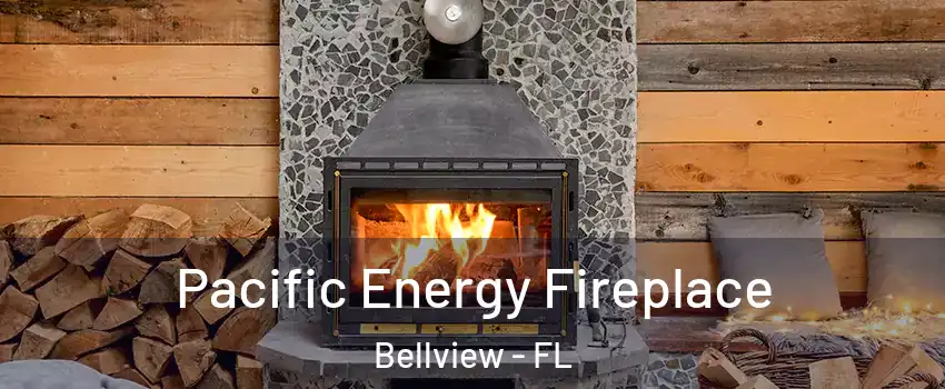  Pacific Energy Fireplace Bellview - FL