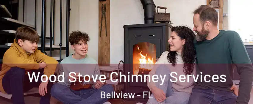  Wood Stove Chimney Services Bellview - FL